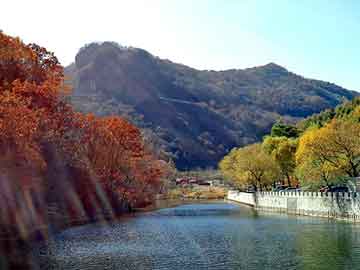 新澳天天开奖资料大全旅游团，站群平台